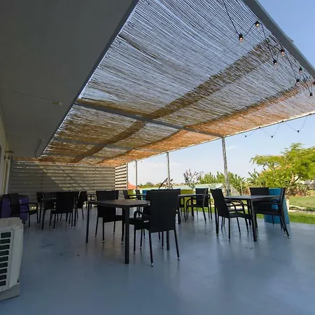 Anghelos فاما فيكي